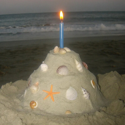 背景图 persimmon.lion