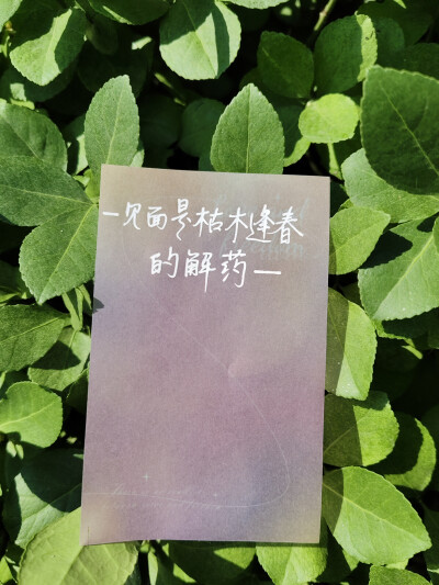 手写背景图