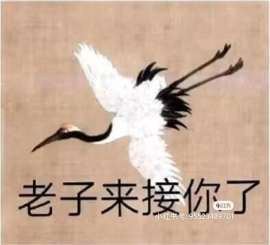表情包