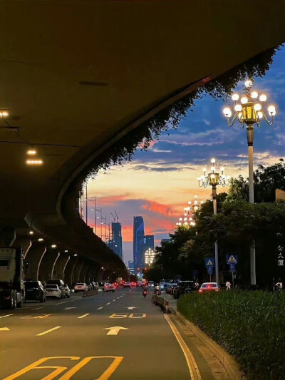 风景