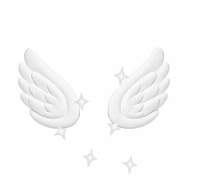  ᭡ ˖