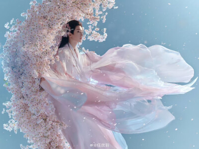 刘宇