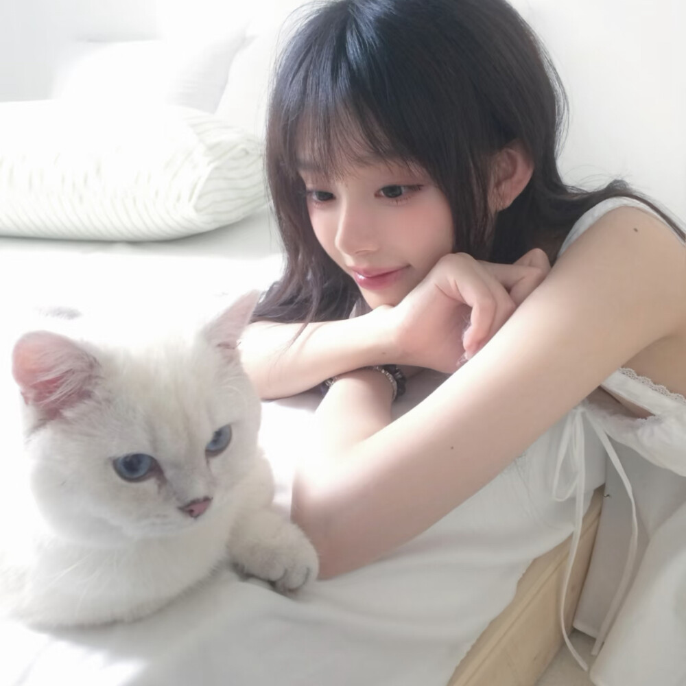 二传注明摇滚羊