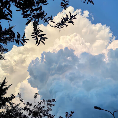禮拜六快樂留