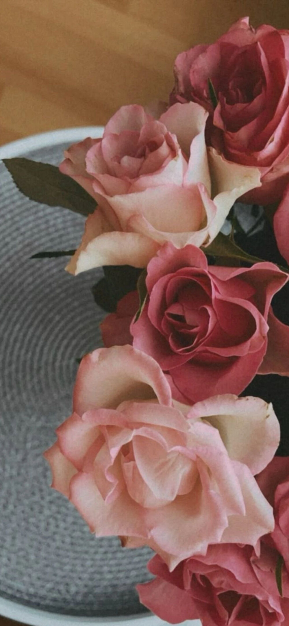 玫瑰壁纸高清壁纸鲜花壁纸复古风壁纸