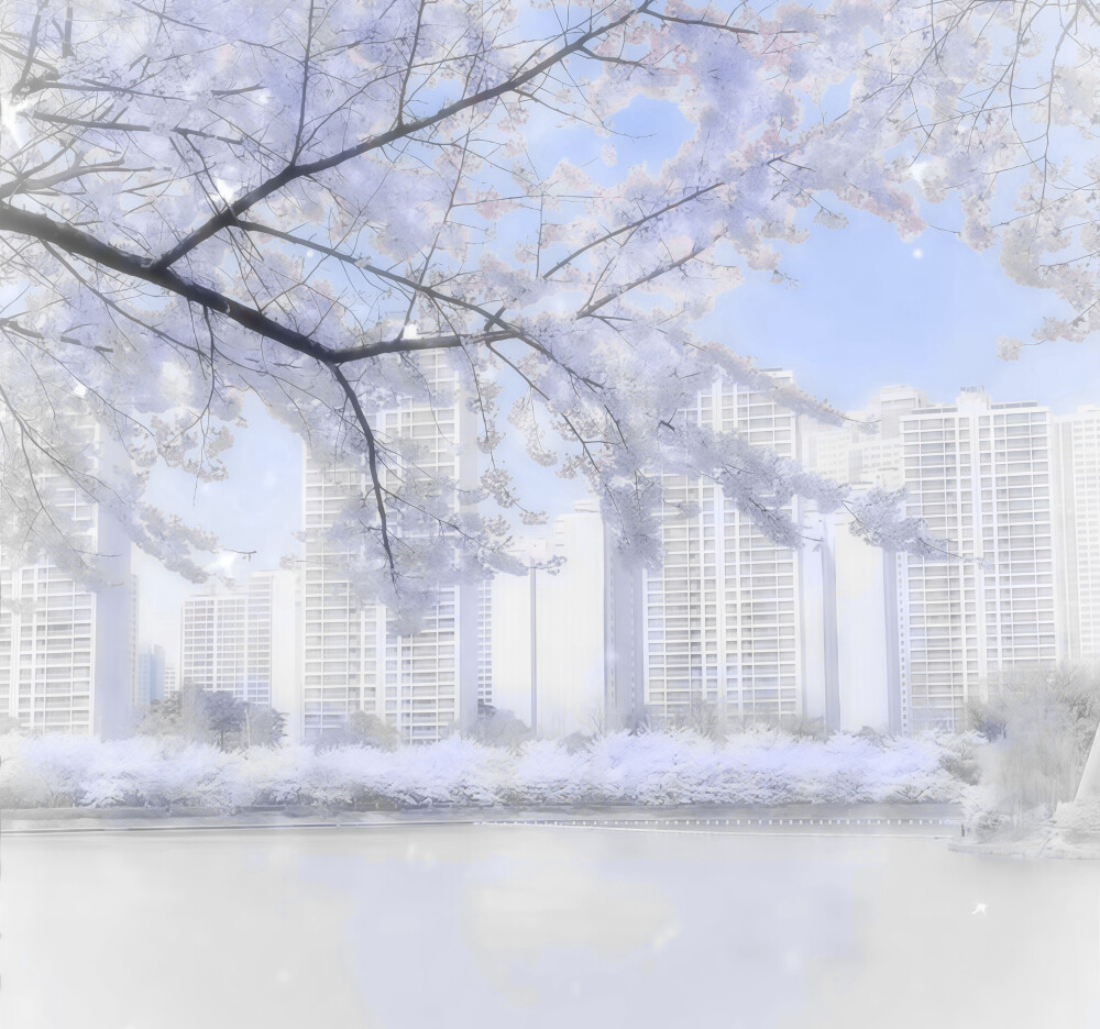告白日記手册