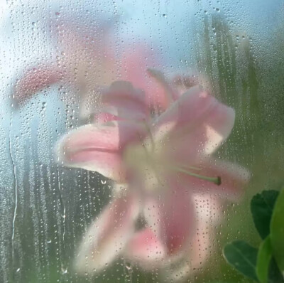 你笑笑好不好 我不想你不开心