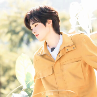 Love Song