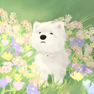 绿色治愈
