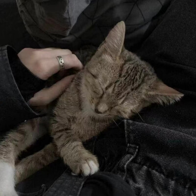 你笑笑好不好 我不想你不开心