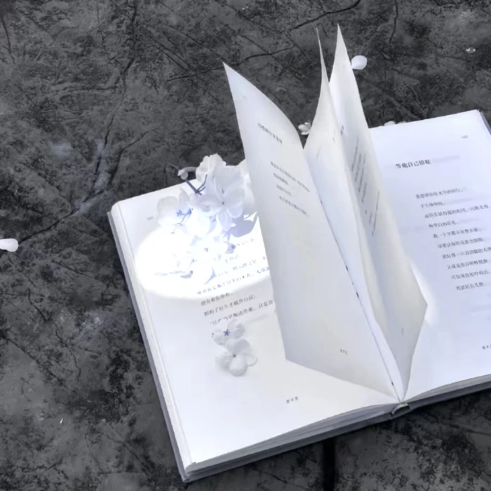 
眼泪凋谢&Withered tears“落幕的电影”