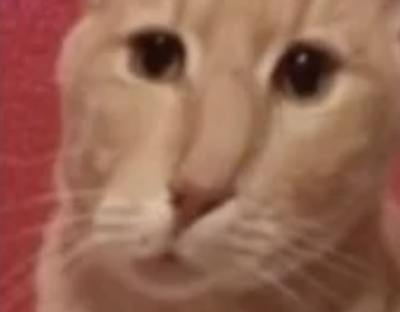 表情包