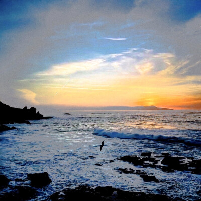 ： 詭譎的煙花散著虛無的綺麗
