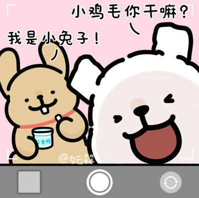线条小狗