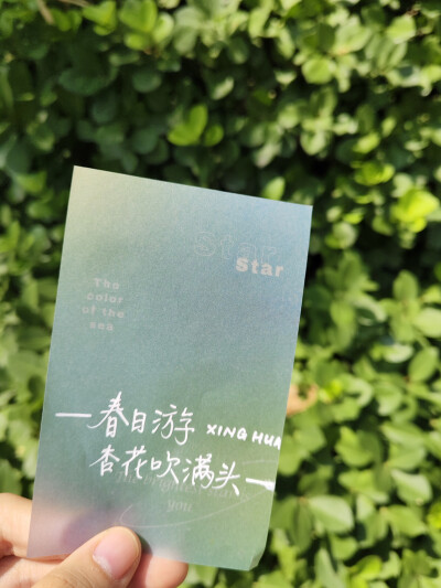 手写背景图