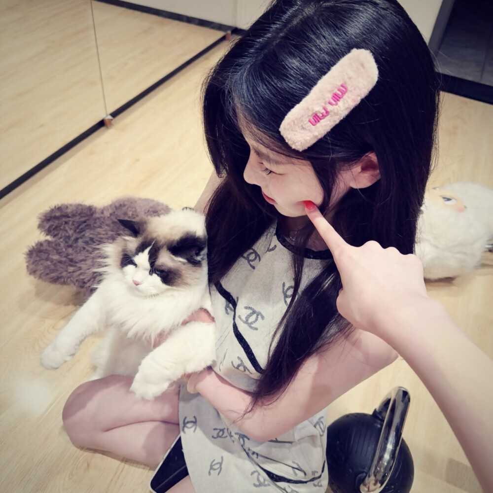 dt愛与莲