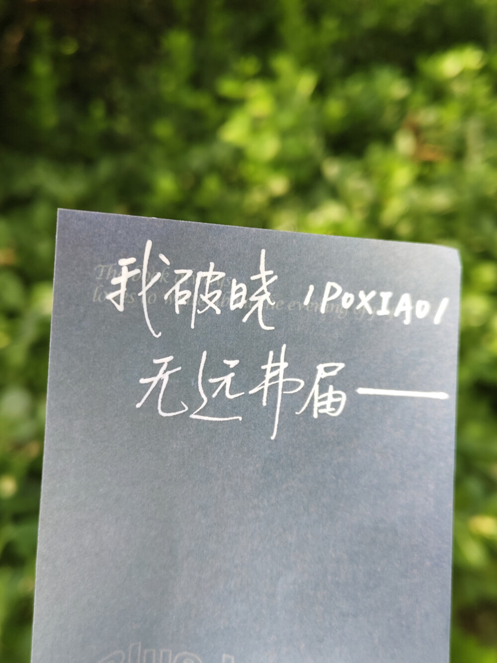 手写背景图