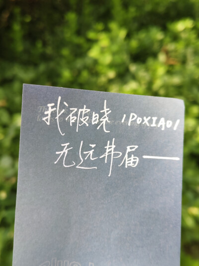 手写背景图