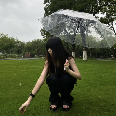 dt愛与莲