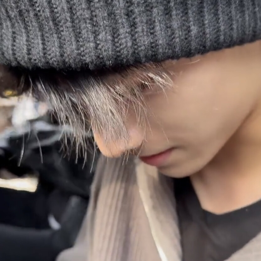 除了妈妈好美我说不出一句话