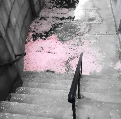 告白日記手册