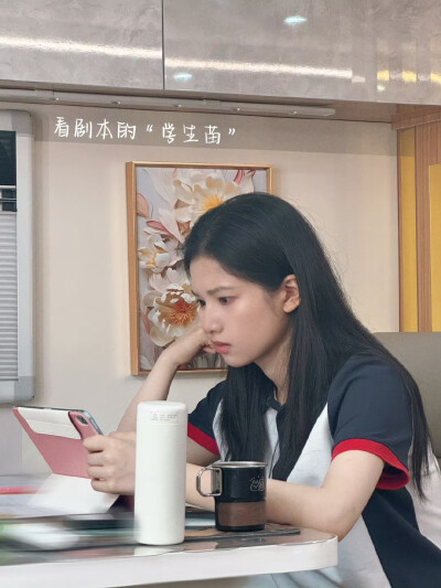 张婧仪