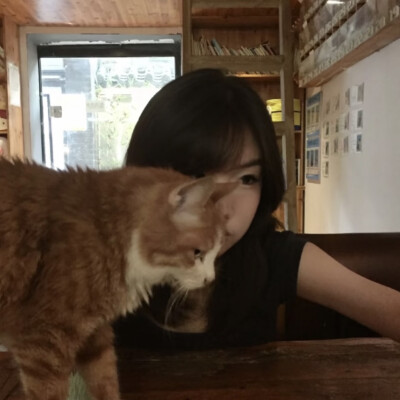 dt愛与莲
