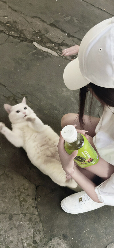 求天降巨款 治愈窝受伤的人生=>ω<=！