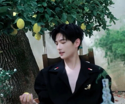 杨洋