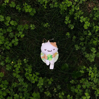 绿色背景图