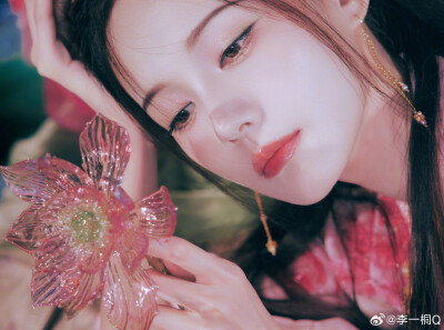李一桐