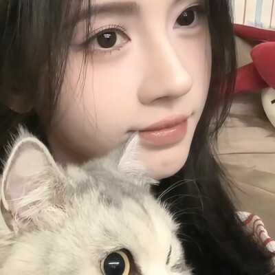 这里有两只小猫