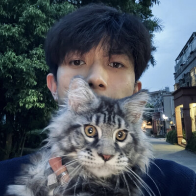 dt林宇婧