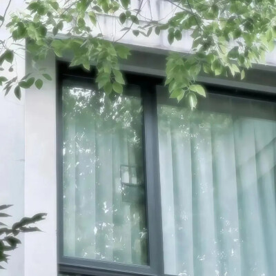 绿色背景图