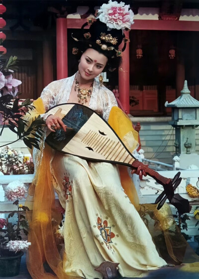 贵妃