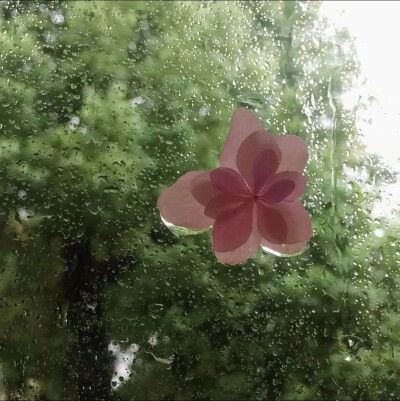 绿色背景图
