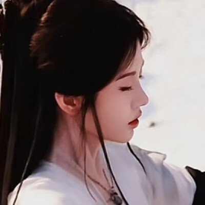 画中仙