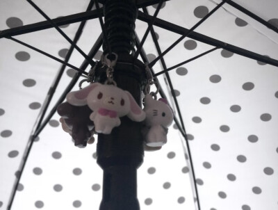 *･゜ﾟ･*:.｡..｡.:*･'(*ﾟ▽ﾟ*)'･*:.｡. .｡.:*･゜ﾟ･*