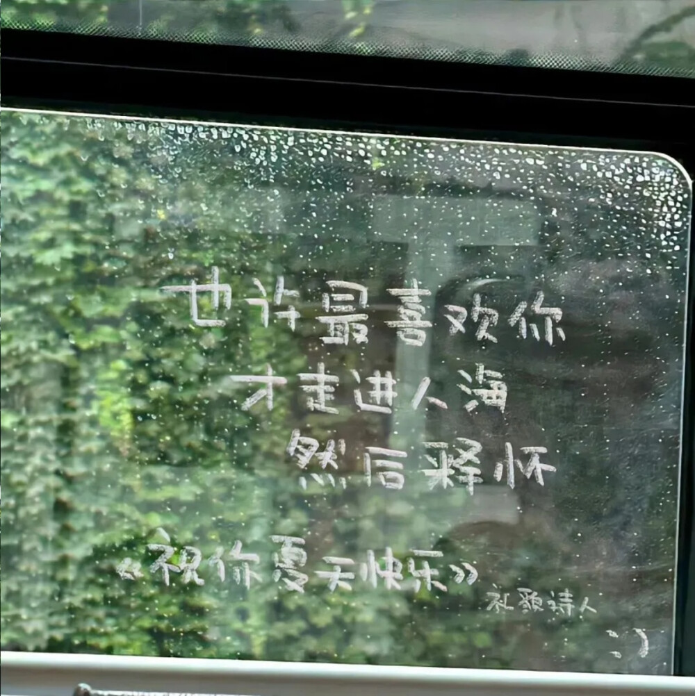 绿色背景图