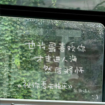 绿色背景图