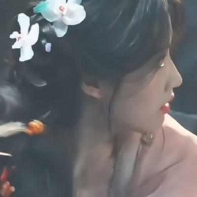 捻一桃花劫