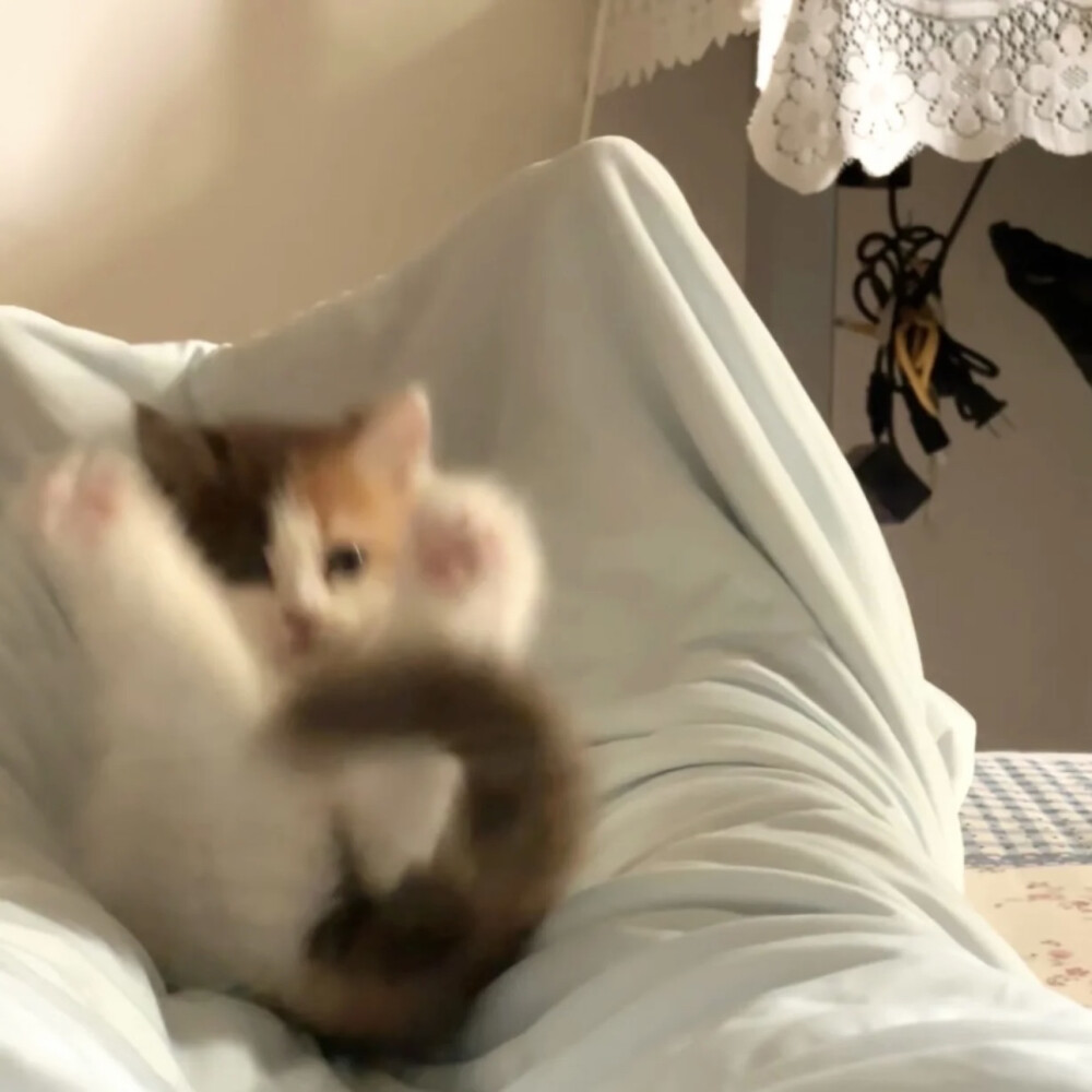 田栩宁套图可二改