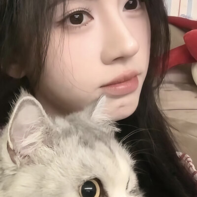 这里有两只小猫