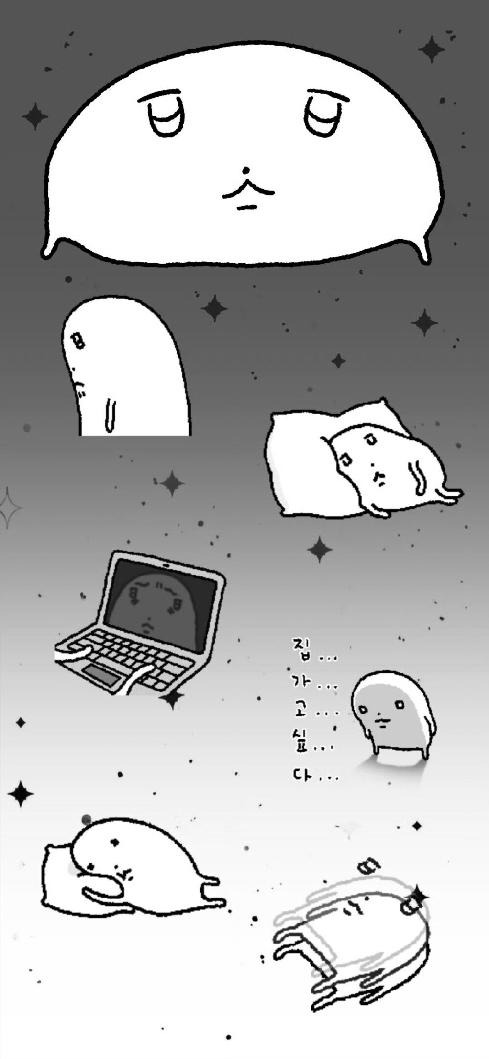 壁纸