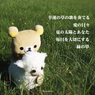 幸運の四叶草