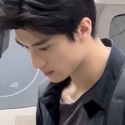 何家树