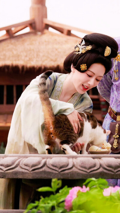 锦绣芳华