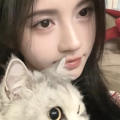 这里有两只小猫