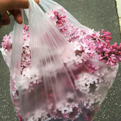 粉色系背景图