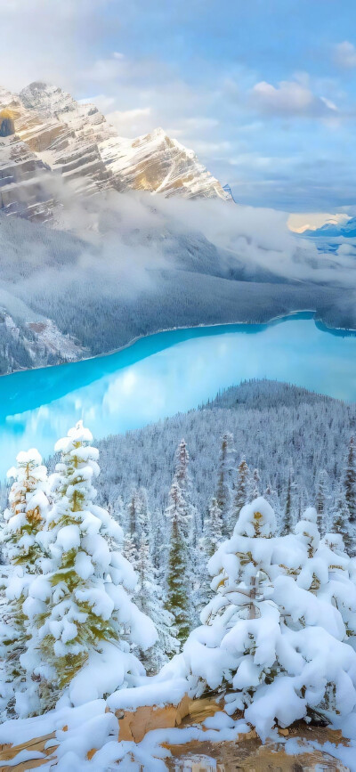 风景